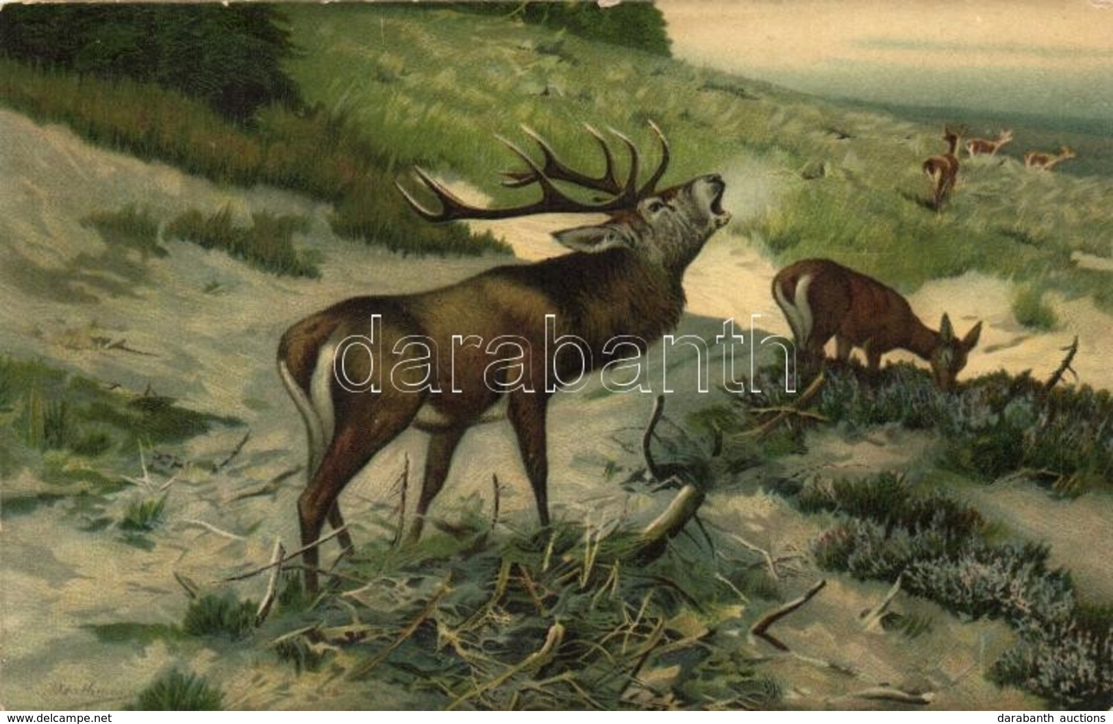 ** T2/T3 'Herausforderung' / Challenging Cry Of A Stag, Deer, Stengel & Co. No. 47004., Litho, S: C. Drathmann - Non Classificati