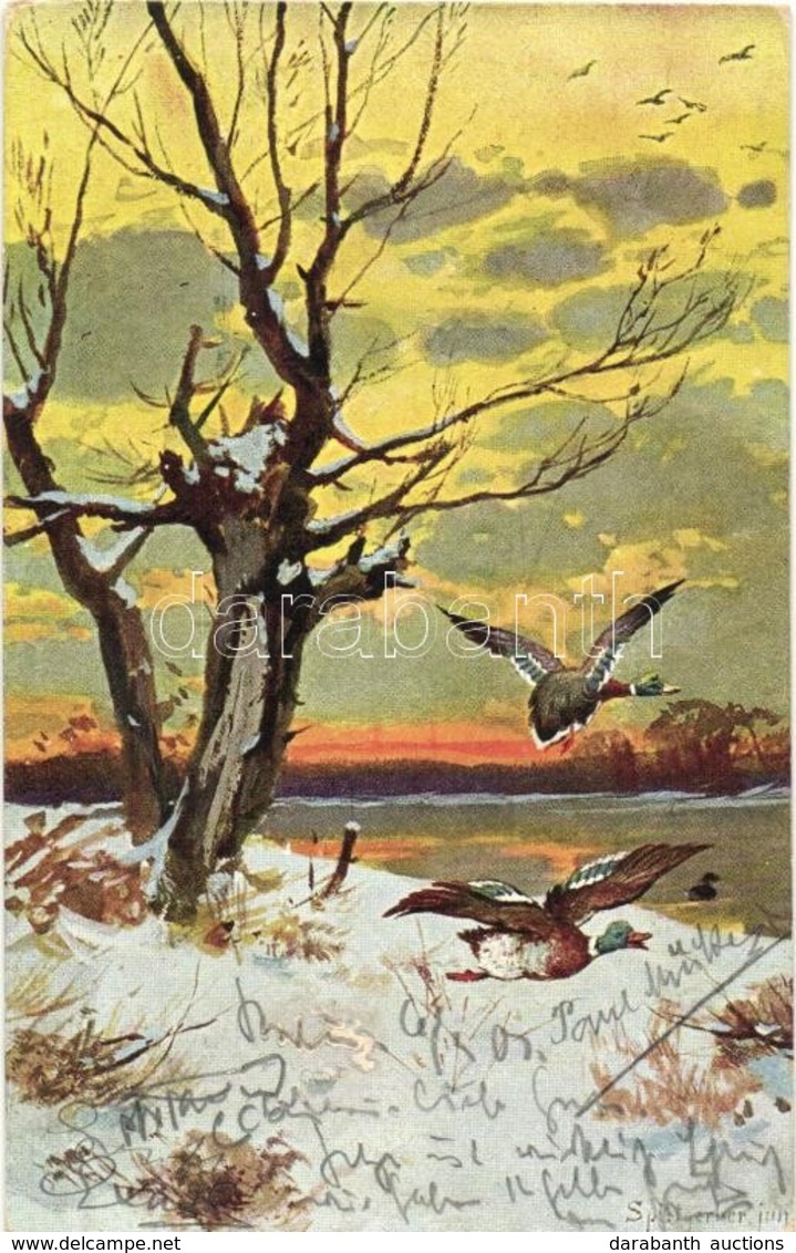 T2/T3 Wild Ducks, Hunting Postcard, H.S.M. Im Wald Serie I., Artist Signed - Zonder Classificatie