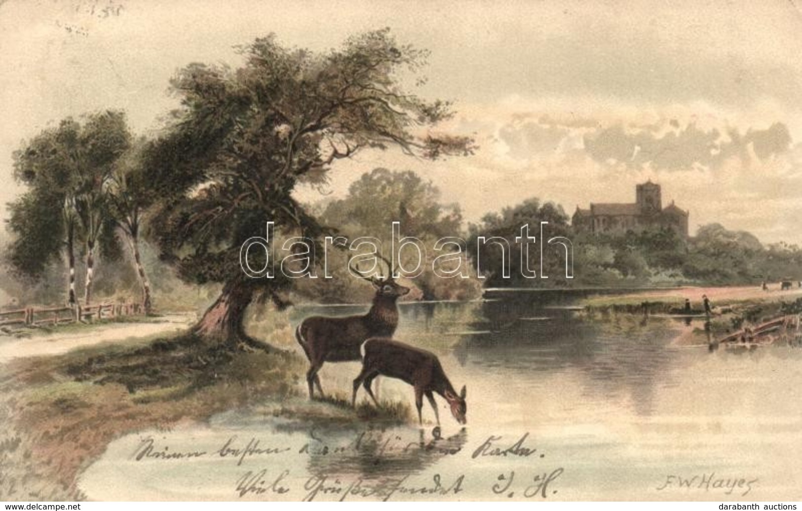 T2/T3 Deer, Stag And Doe By The River, Meissner & Buch Serie 1264, Litho, S: F. W. Hayes (EK) - Non Classificati