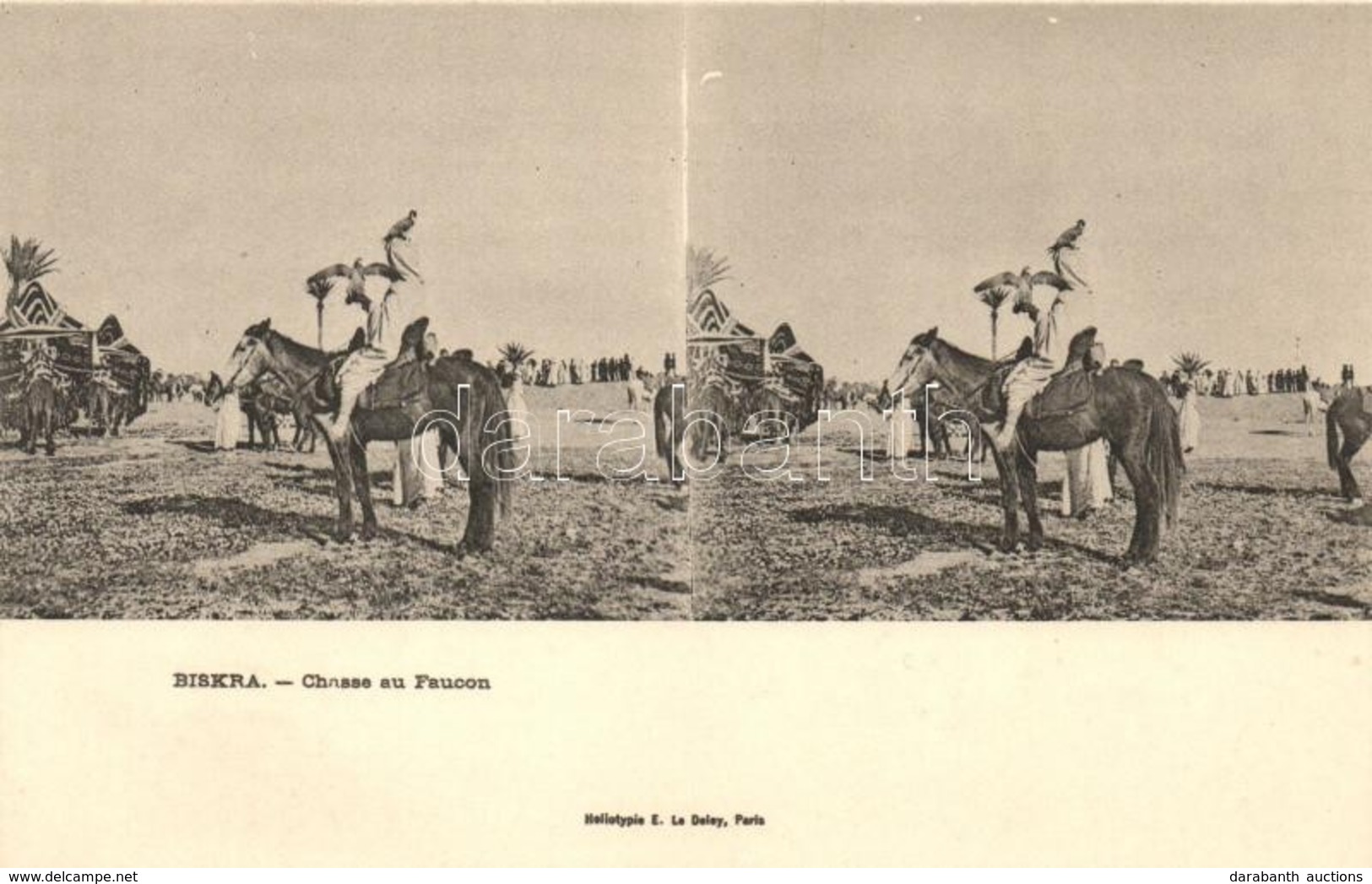 ** T1/T2 Biskra, Chasse Au Faucon / Algerian Hunter With Falcon, Folklore - Non Classificati