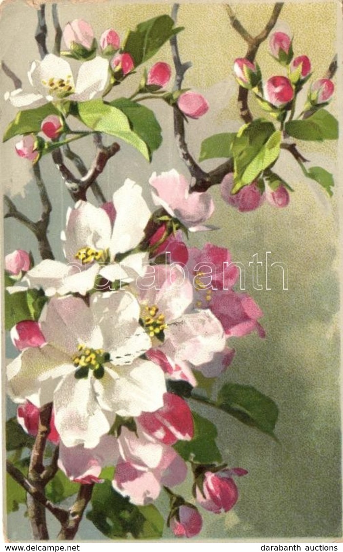 T3 Cherry Blossom Flowers, M. & L. Serie 137., Litho (small Tear) - Zonder Classificatie
