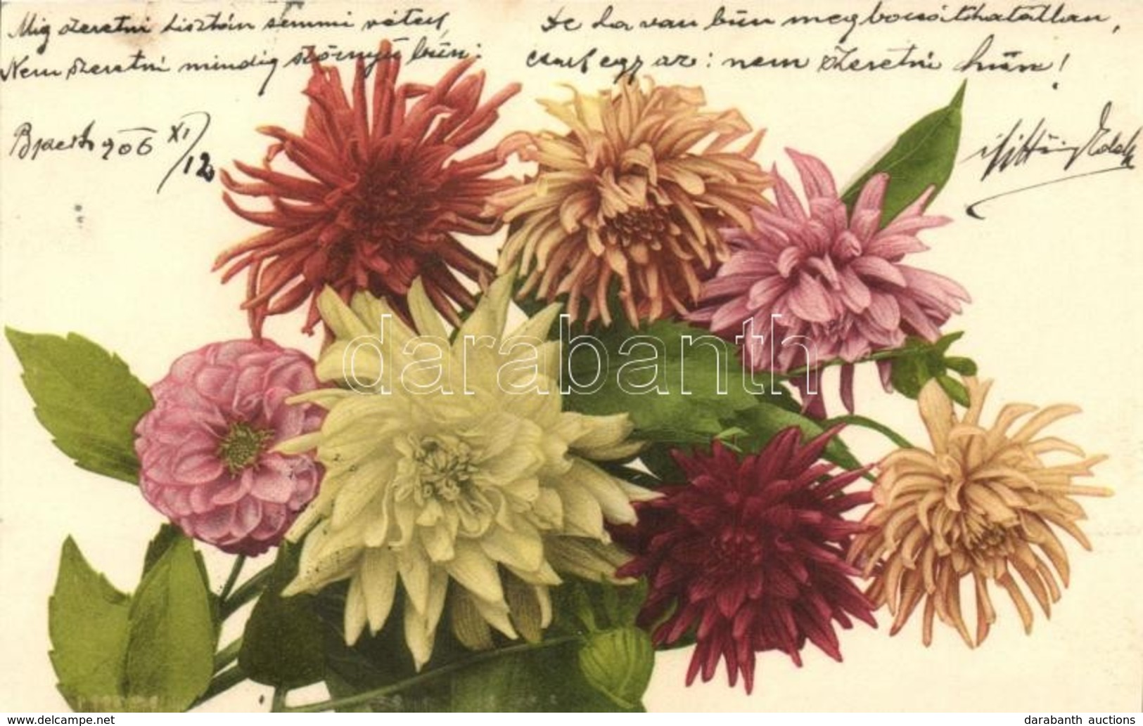 * T2 Crysanths Flower, Martin Rommel & Co. Hofkunstanstalt No. 562 - Zonder Classificatie