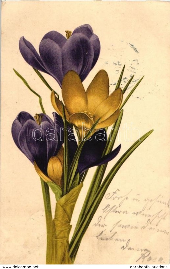 T2/T3 Flower, Litho (EK) - Unclassified