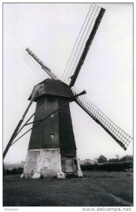 PAAL Bij Beringen (Limburg) - Molen/moulin - Maxikaart Van De Verdwenen Achtkante Houten Molen Huygens In 1945 - Beringen