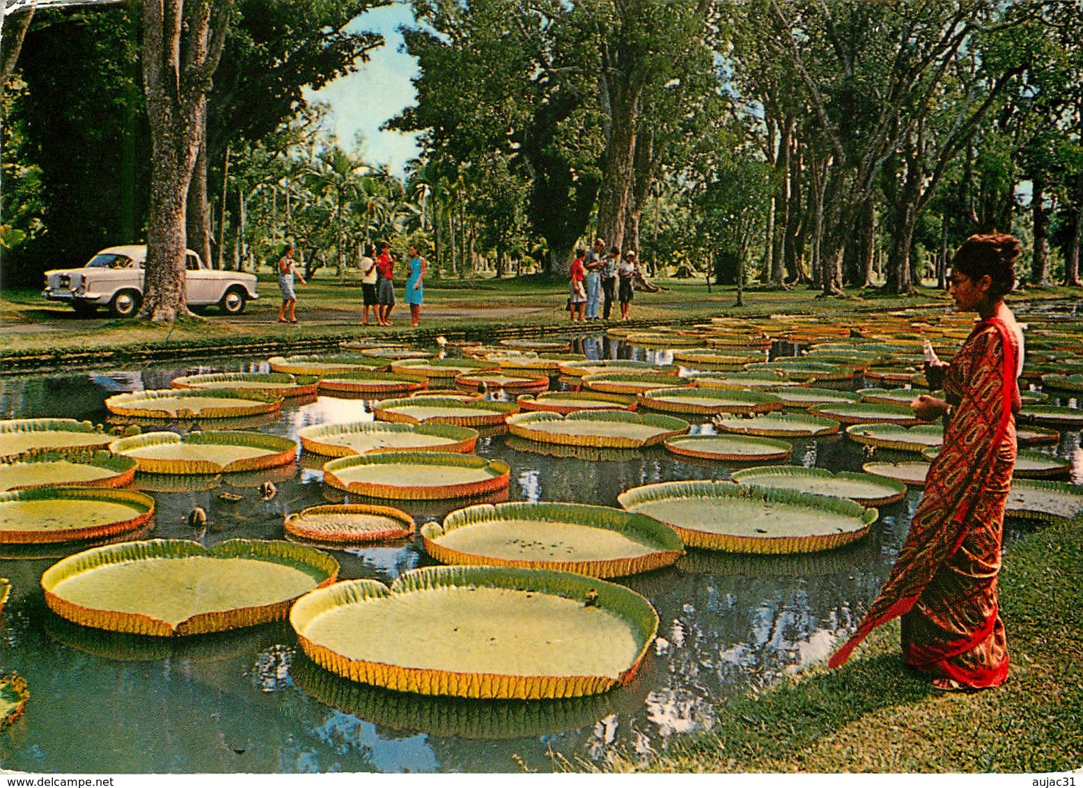 Afrique De L'Est - Voitures - Automobile - Ile Maurice - Mauritius - Pamplemousses Gardens -Jardin De Pamplemousses-état - Maurice