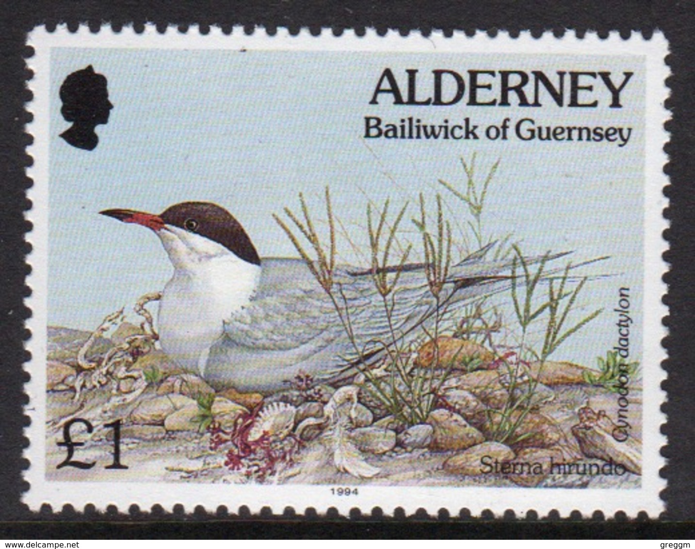 Alderney Single £1 Stamp From The 'Flora And Fauna' Definitive Set. - Alderney