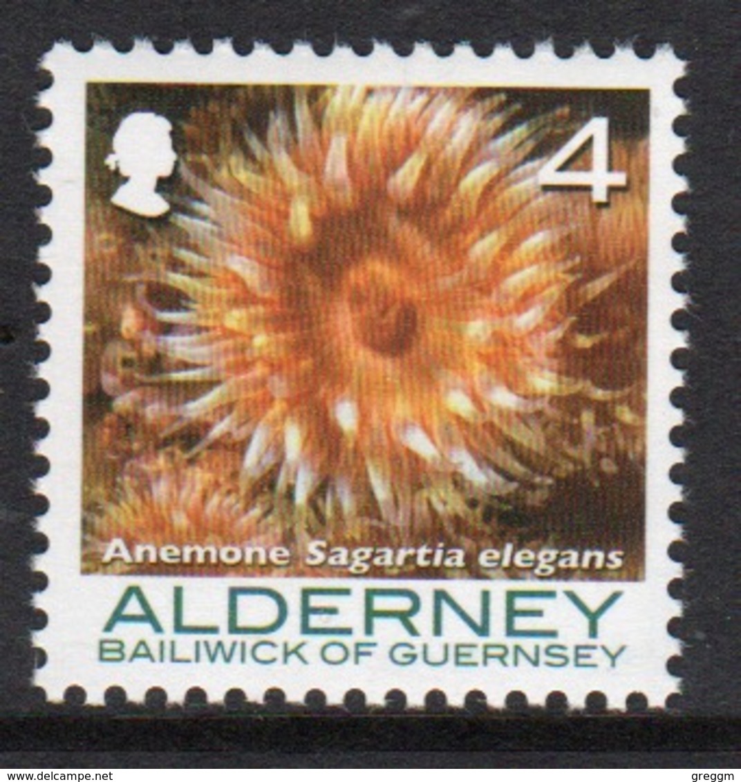 Alderney Single 4p Stamp From The 'Corals And Anemones' Definitive Set. - Alderney
