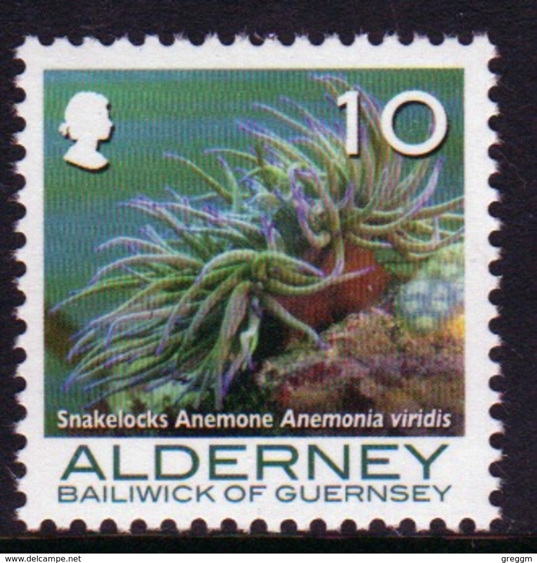 Alderney Single 10p Stamp From The 'Corals And Anemones' Definitive Set. - Alderney