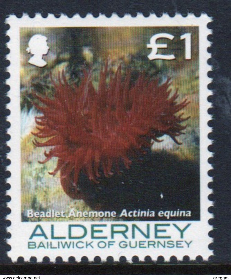 Alderney Single £1 Stamp From The 'Corals And Anemones' Definitive Set. - Alderney