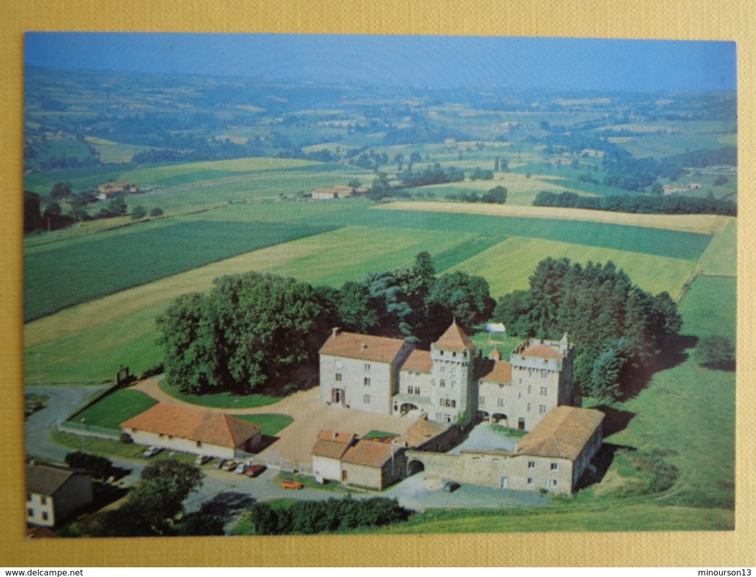 SAINT SYMPHORIEN SUR COISE : CHATEAU DE PLUVY - Saint-Symphorien-sur-Coise