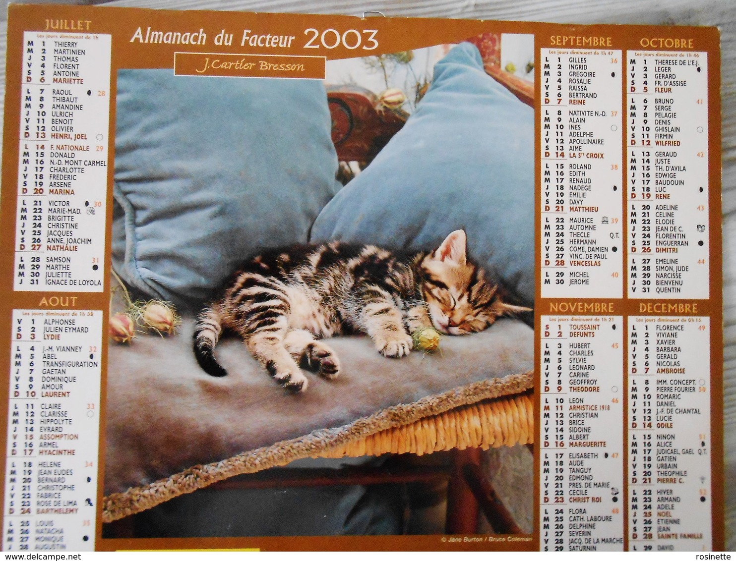 Calendrier Almanach La Poste 2024 Animaux chatons chat