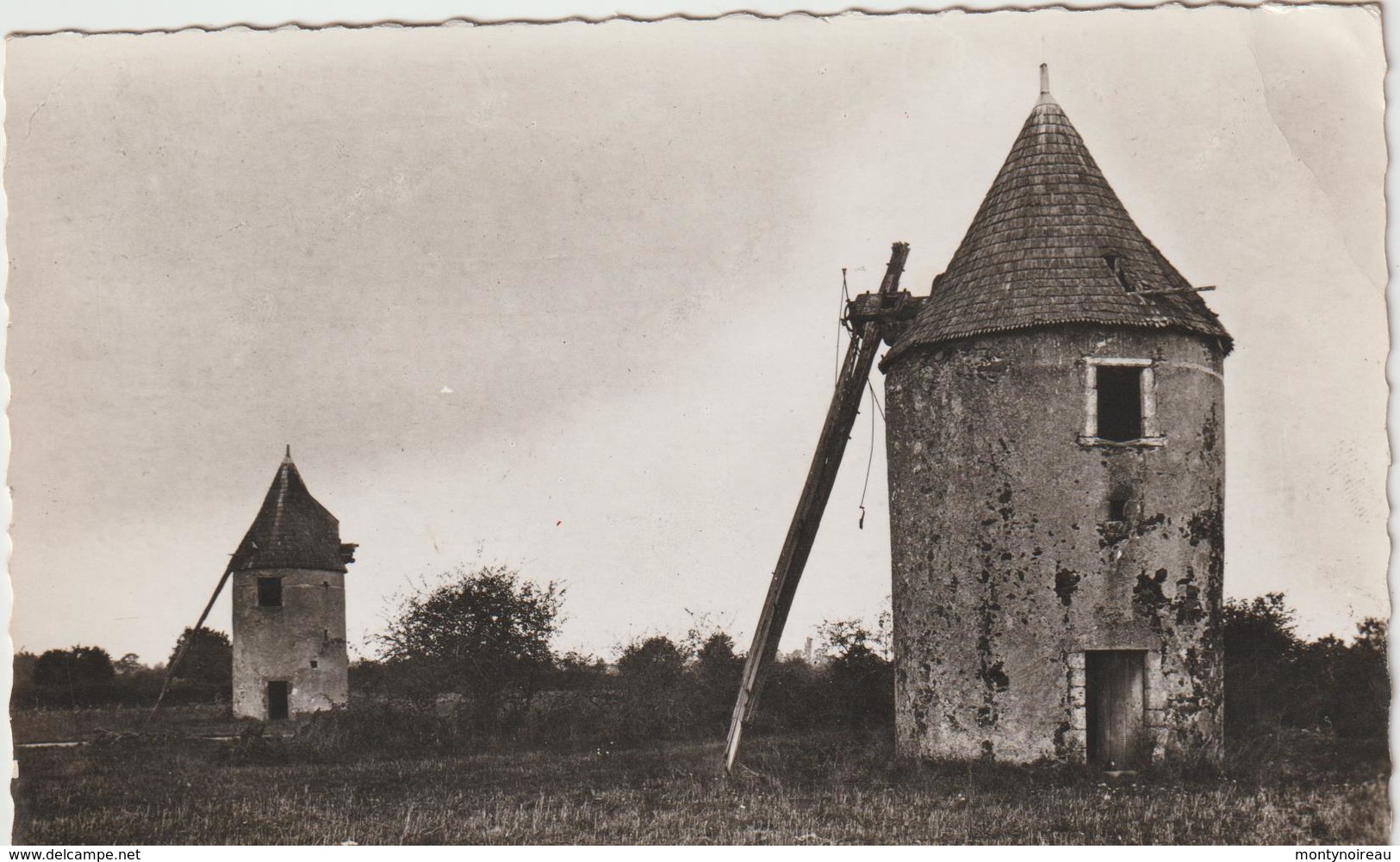 Deux  Sèvres :  ST  VARENT :   Les  Vieux  Moulins  à  Vent  1957 - Other & Unclassified
