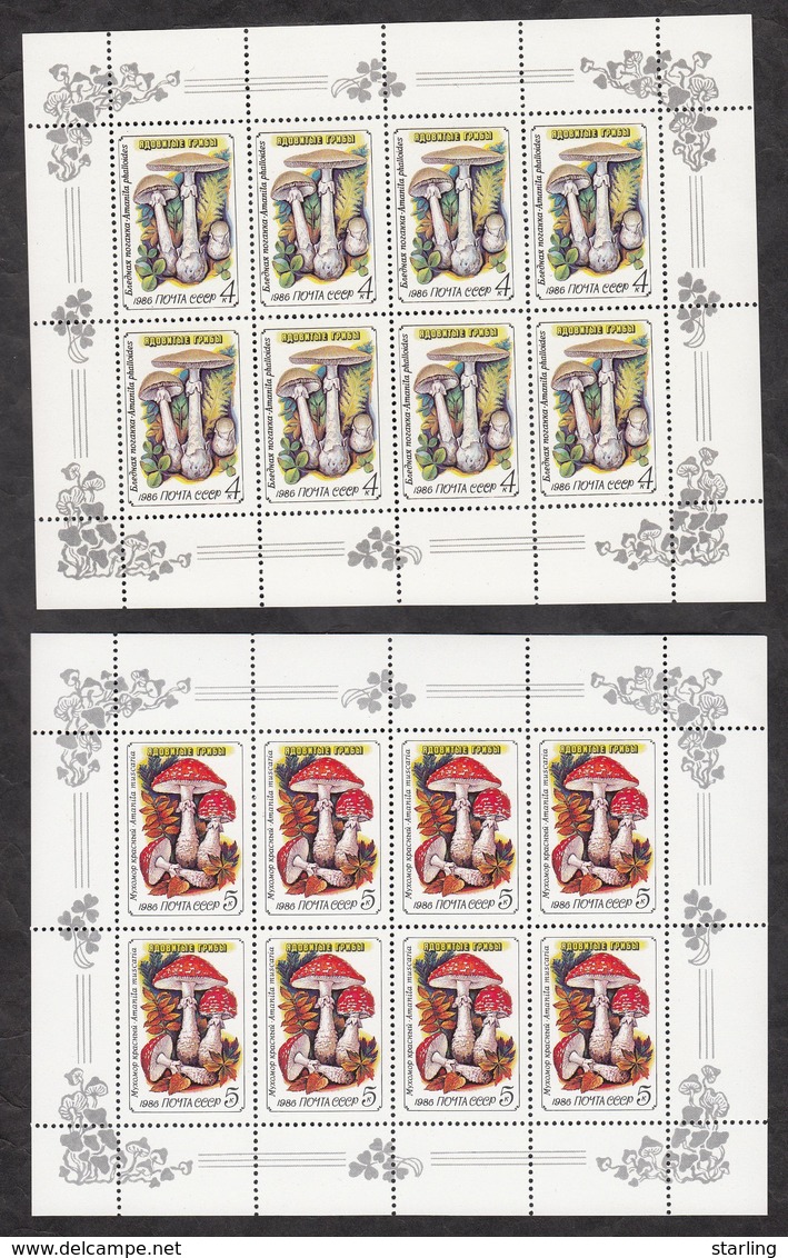 Russia USSR 1986 Mi # 5603-5607 Mushrooms 5 Sheets MNH * * - Nuovi