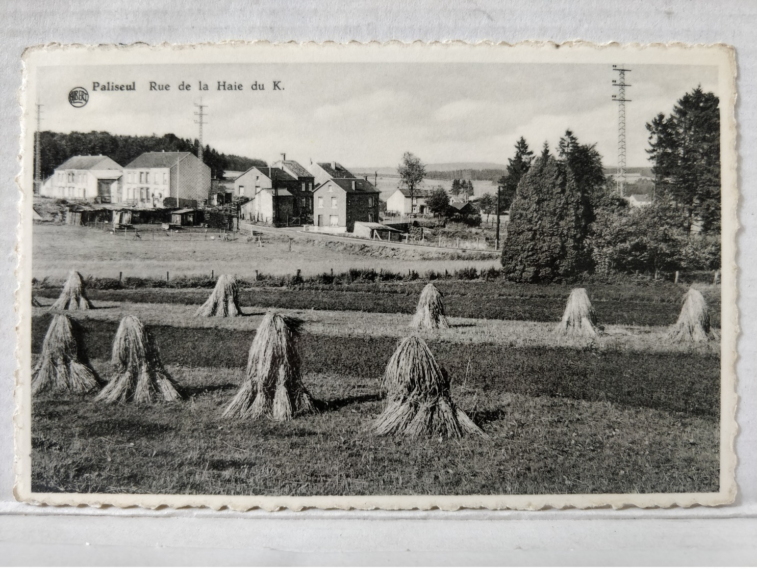 RARE. Paliseul. Rue De La Haie Du K - Paliseul