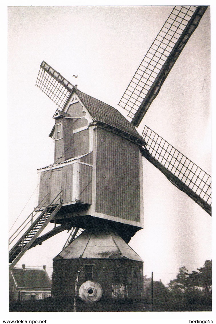 Poederlee - Molen Van Gijsel - Lille