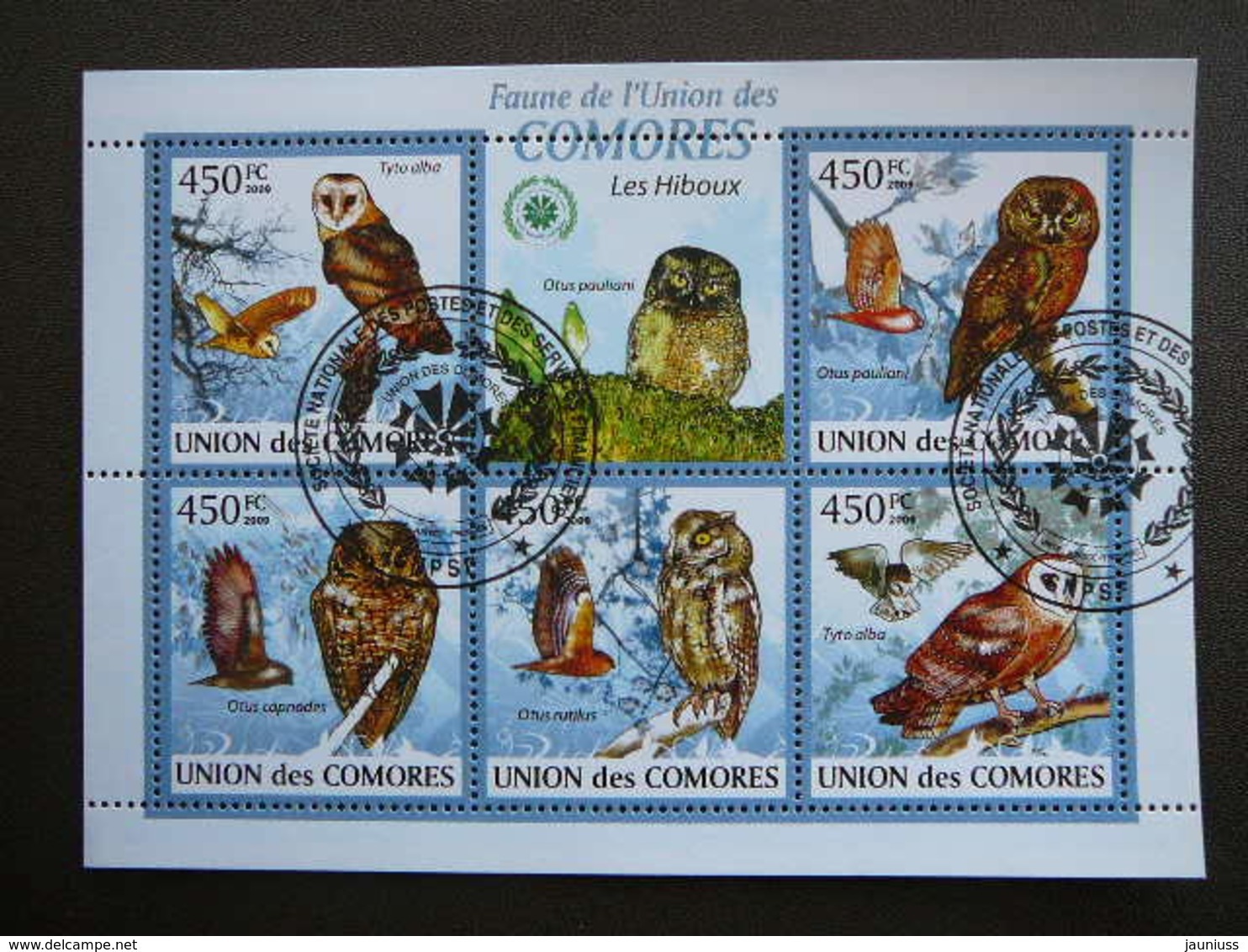 Owls. Eulen. Les Hiboux # Comoros # 2009 Used S/s # Birds - Hiboux & Chouettes