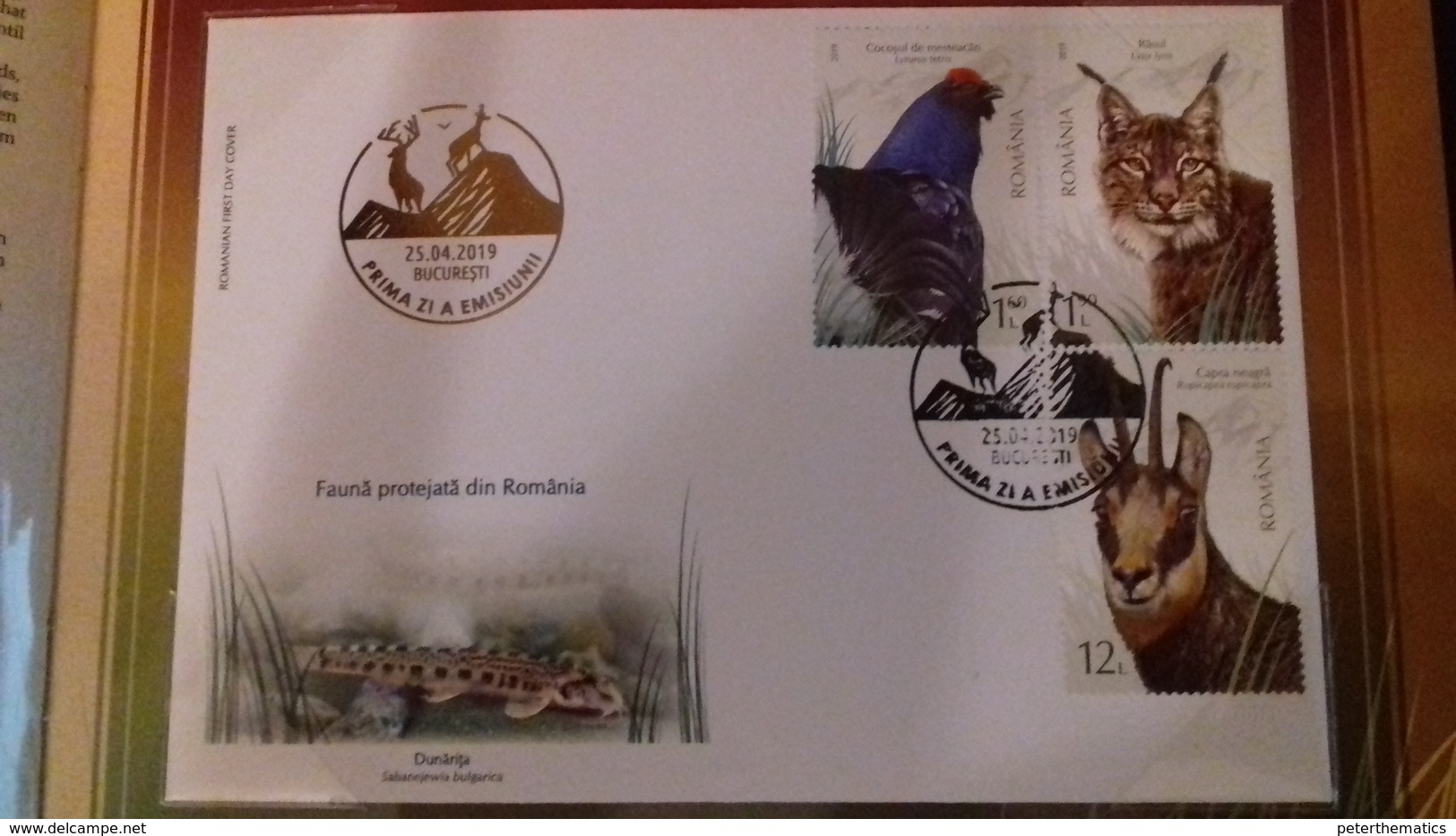 ROMANIA, 2019, MNH, FAUNA, BIRDS,  BEARS, DEER, LYNX, SPECIAL FOLDER WITH LIMITED EDITION SLT+ 2 FDC, ONLY 227 PRODUCED! - Other & Unclassified