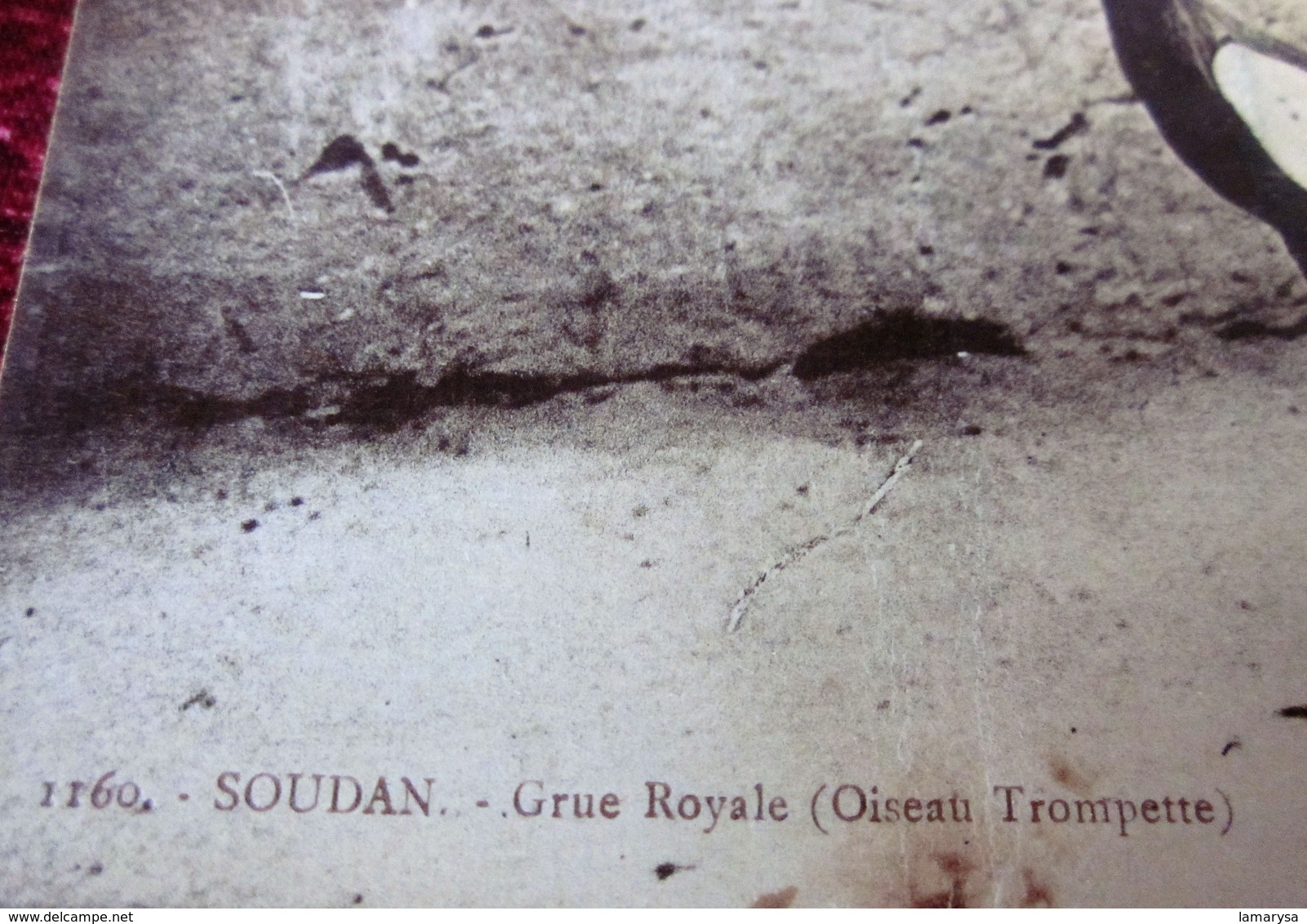 France Afrique Occidentale Française(ex-colonie & Protectorat)SOUDAN GRUE ROYALE(1894-1902)Lettre Carte Postale-Document - Covers & Documents