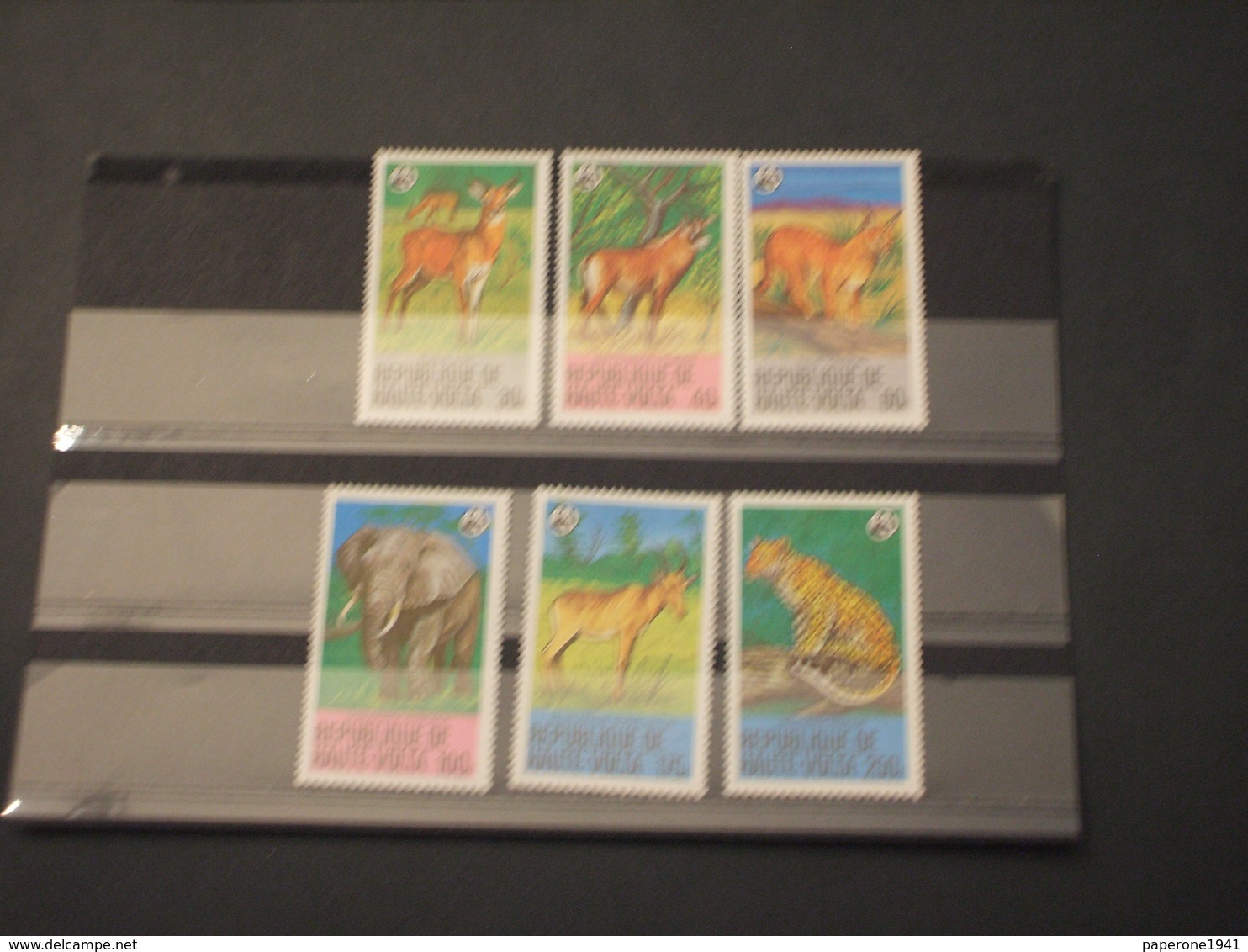 HAUTE VOLTA - 1979 WWF FAUNA 6 VALORI - NUOVI(++) - Haute-Volta (1958-1984)