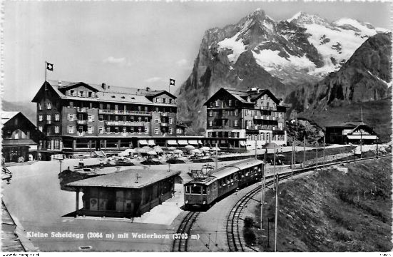 CPSM Suisse Helvétia Chemin De Fer Train Station Gare Non Circulé Wetterhorn - Horn