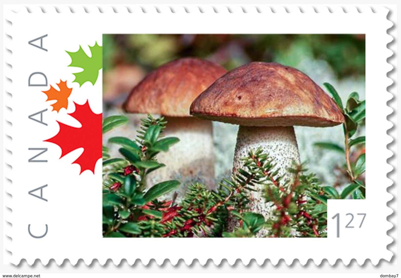 MUSHROOMS = 1.27 Rate = Picture Postage MNH Canada 2019 [p19-05s03] - Mushrooms