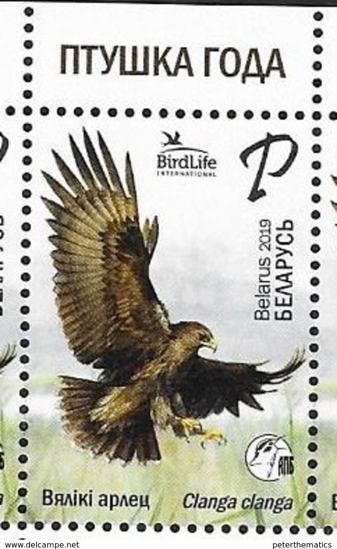 BELARUS, 2019, MNH, BIRDLIFE INTERNATIONAL, BIRDS OF PREY, EAGLES,1v - Eagles & Birds Of Prey