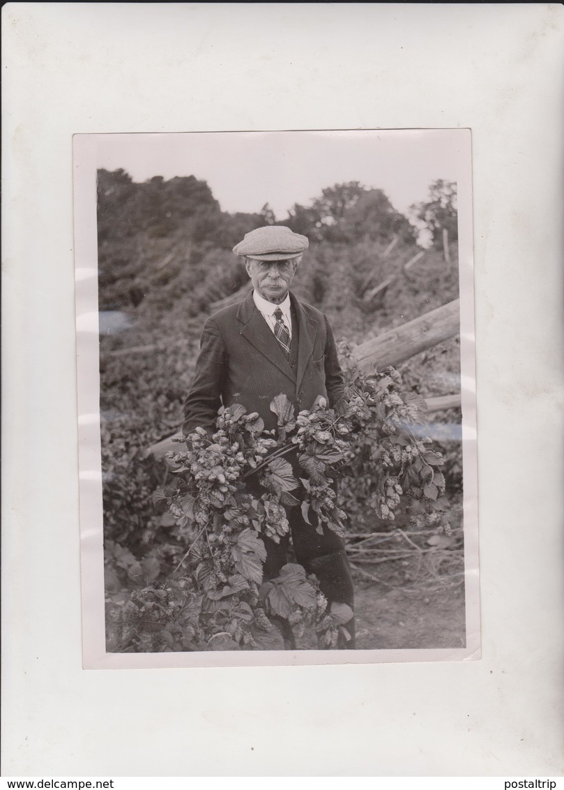 TONBRIDGE HOPFIELD STORM HAVOC MR FOLIA KENT La Cueillette Du Houblon Hop Picking 20*15 CM Fonds Victor FORBIN 1864-1947 - Professions