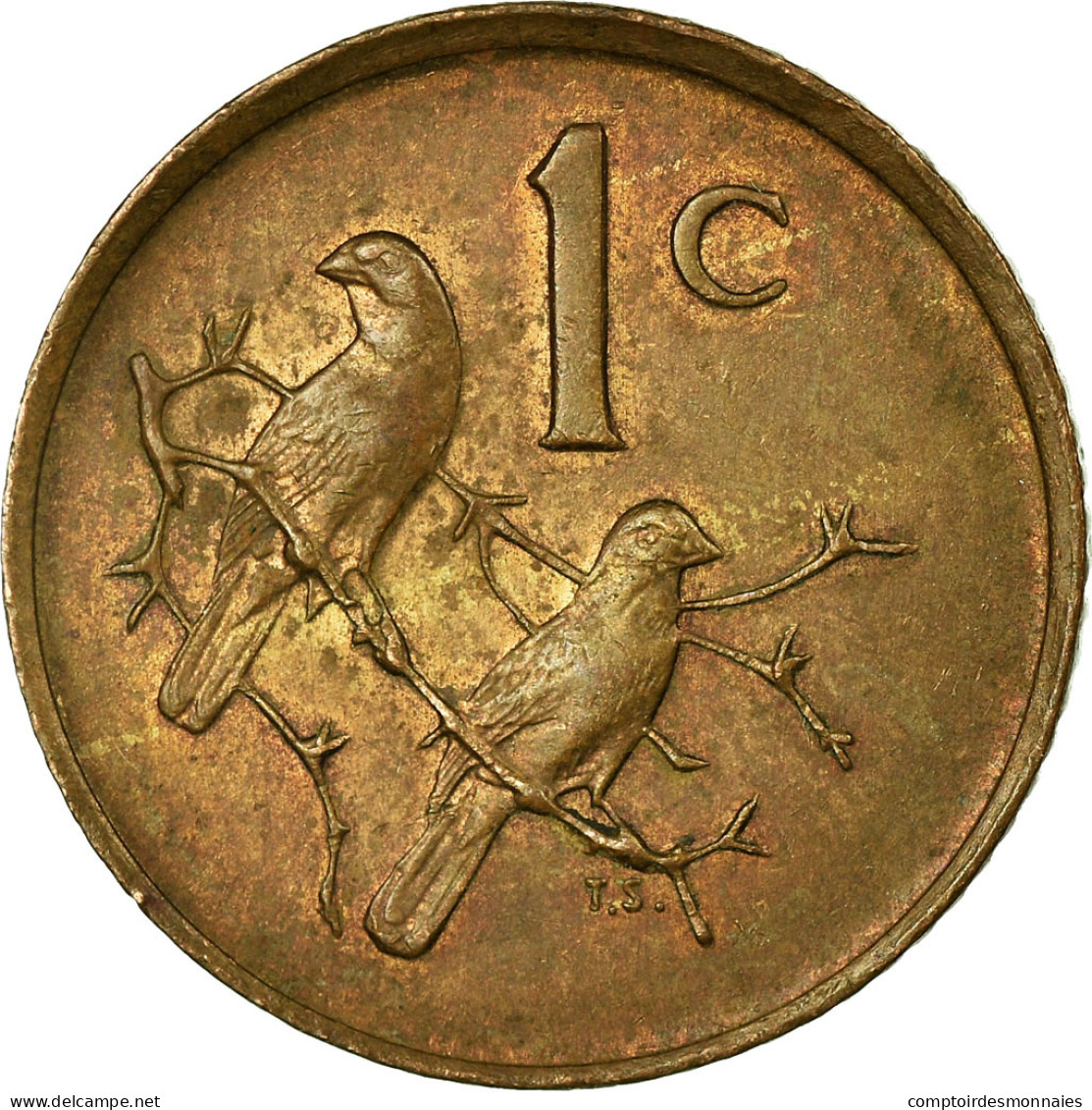 Monnaie, Afrique Du Sud, Cent, 1986, TTB, Bronze, KM:82 - Afrique Du Sud