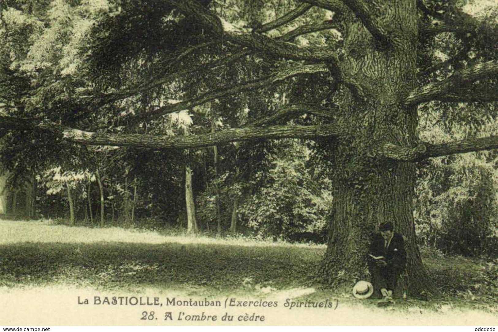 LA BASTIOLLE Montauban (Exercices Spirituels) A L'ombre Du Cèdre    RV - Montauban