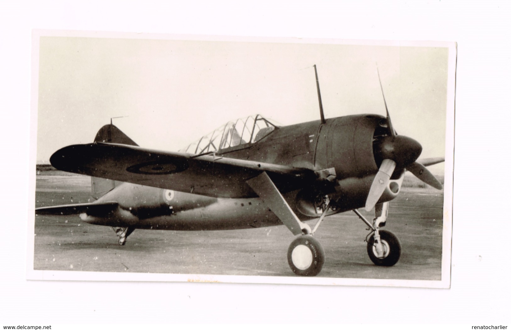 Aéronautique Militaire Belge.Brewster Buffalo. - Aviation