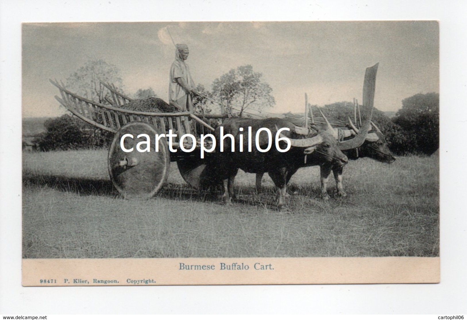 - CPA BIRMANIE (Myanmar) - Burmese Buffalo Cart (avec Attelage De Boeufs) - Edition P. Klier 98471 - - Myanmar (Burma)
