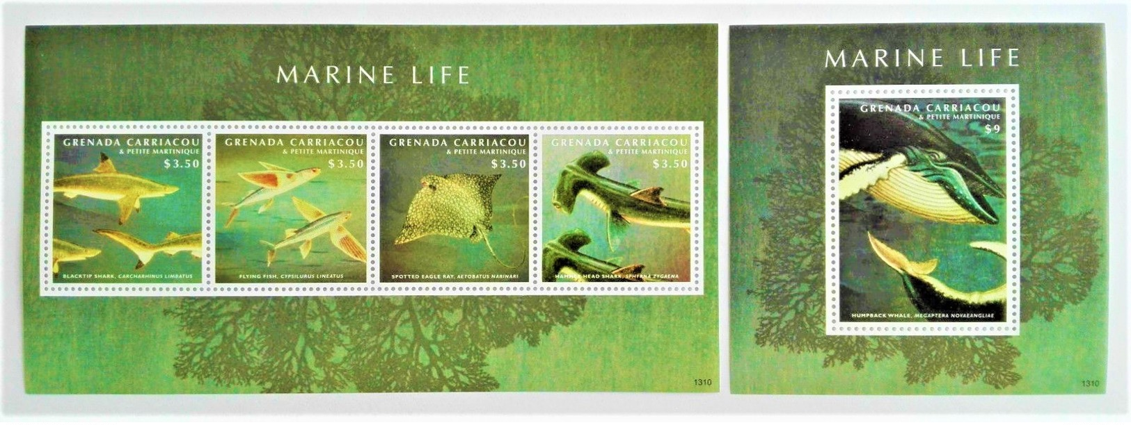 # Grenada 2013**Mi.4836-40  Marine Life , MNH [14;89] - Meereswelt