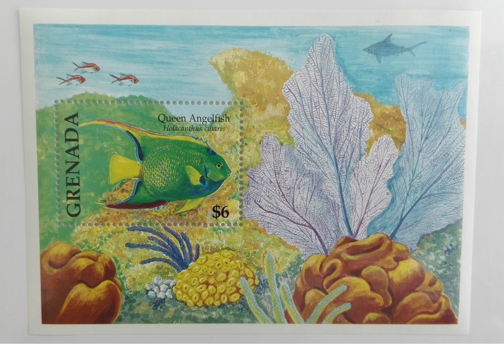 Grenada 2000** Bl.566. Angelfish MNH [6;100] - Fische