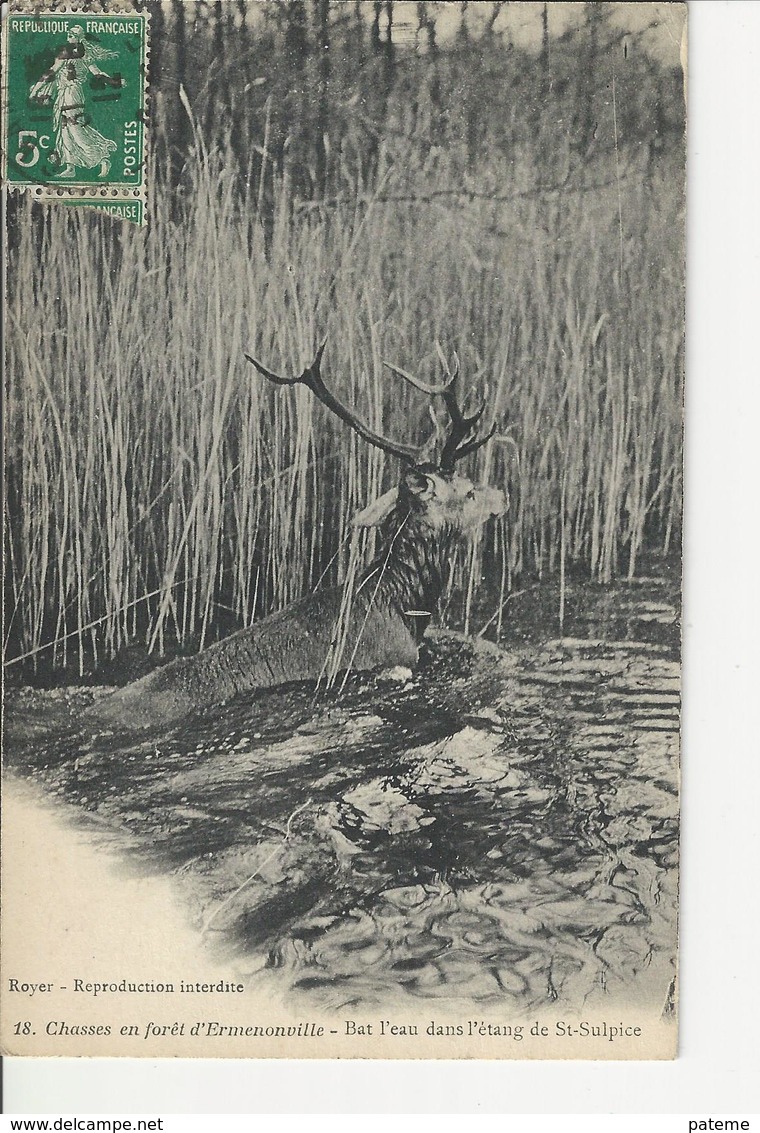 Chasses En Foret D'ermenonville Bat L'eau Dans L'étang De Saint Suplice Cerf - Ermenonville