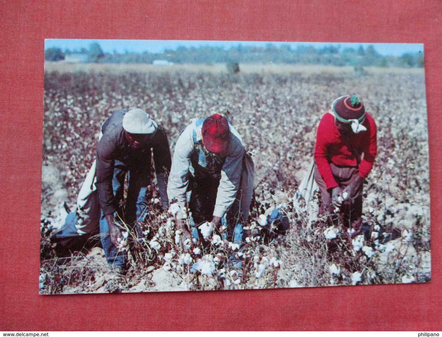 > Black Americana    Picking Cotton Down South   Ref 3392 - Black Americana