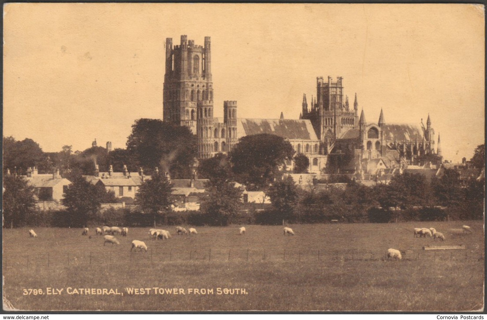 West Tower From South, Ely Cathedral, Cambridgeshire, 1915 - Photochrom Postcard - Ely