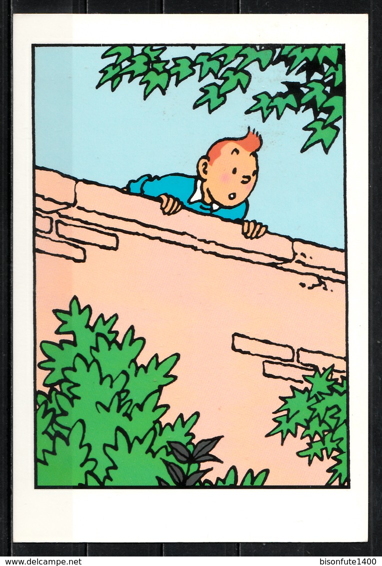 CP Tintin : Editions Hergé/Moulinsart Sundancer N° 009 ( Recto-Verso ) - Bandes Dessinées