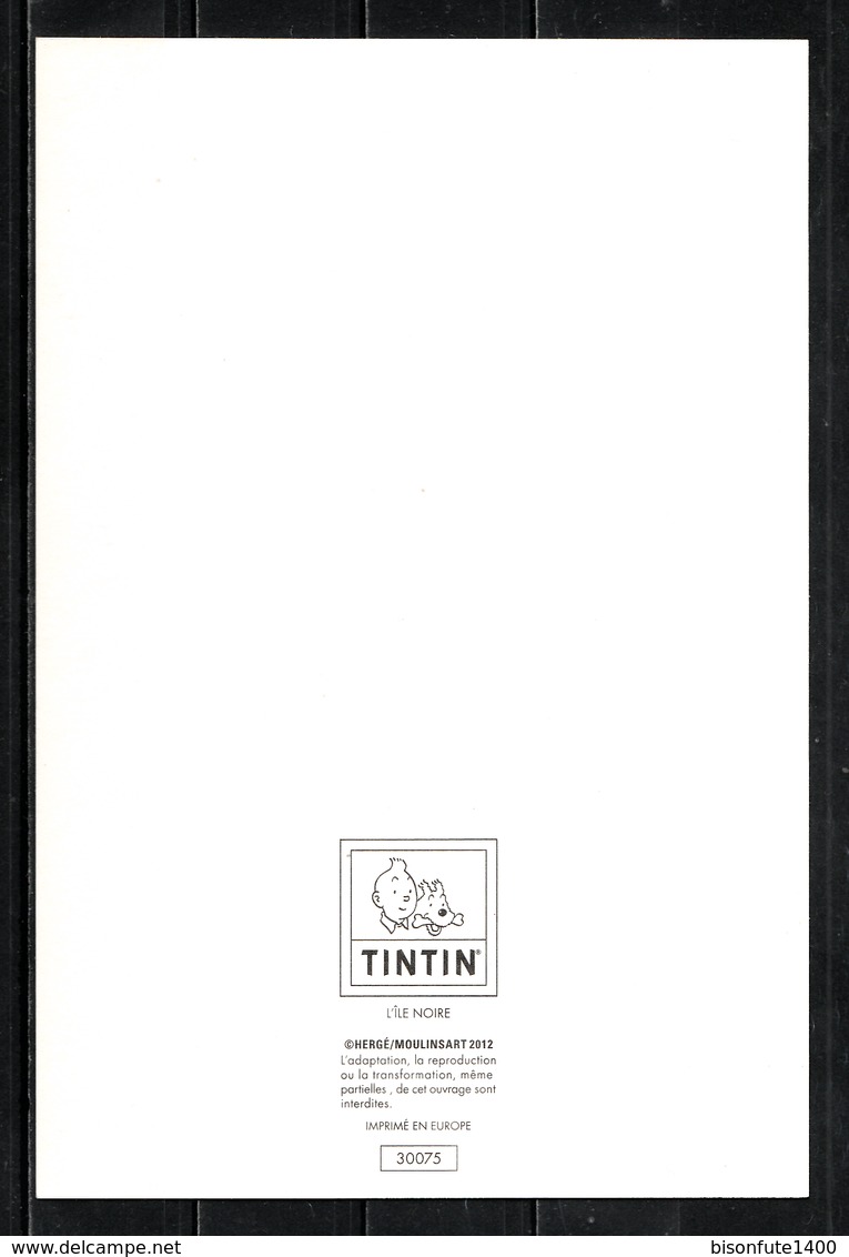 CP Tintin : Editions Hergé/Moulinsart N° 30075 ( Recto-Verso ) - Bandes Dessinées