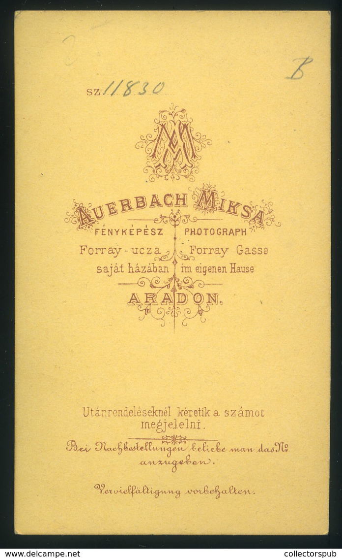 ARAD 1870-75. Auerbach Miksa : Ismeretlen Hölgy, Szép Visit Fotó - Other & Unclassified