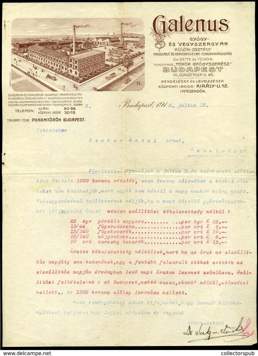 BUDAPEST 1918. Galenus Gyógy és Vegyszergyár Fejléces, Céges Számla - Ohne Zuordnung