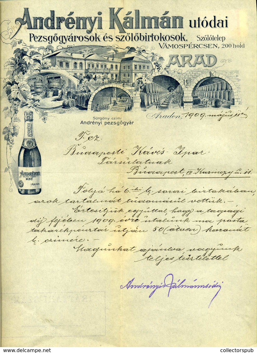ARAD 1909. Andrényi Pezsgőgyárosok és Szőlőbirtokosok, Fejléces, Céges Számla - Zonder Classificatie