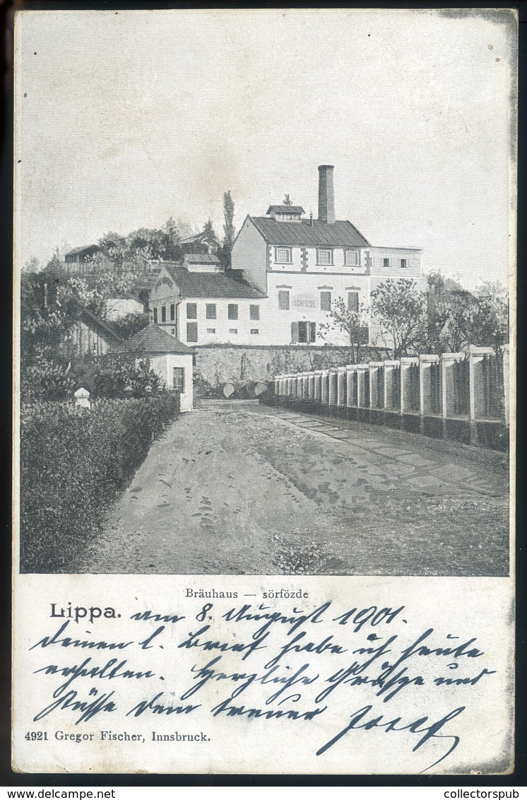 LIPPA 1901. Sörfőzde, Rrégi Képeslap  /  Brewery Vintage Pic. P.card - Ungarn