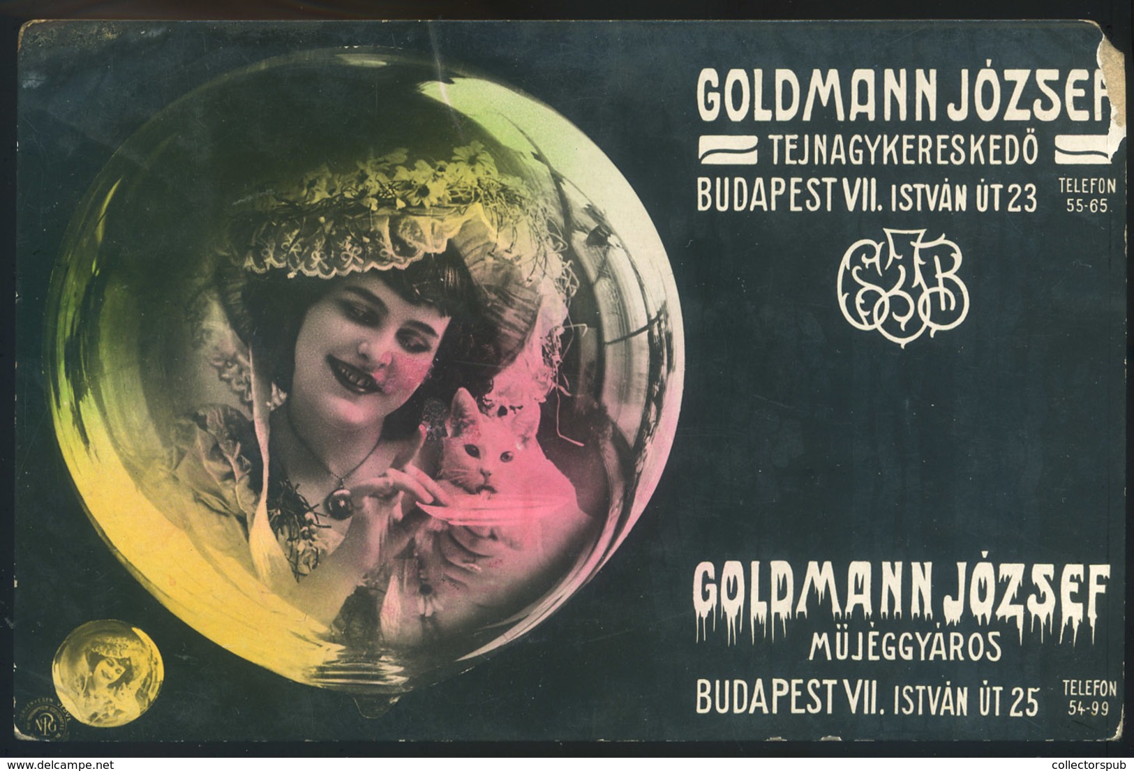 BUDAPEST 1910. Goldmann Tejnagykereskedő, Reklám, Régi Képeslap - Religion & Esotericism