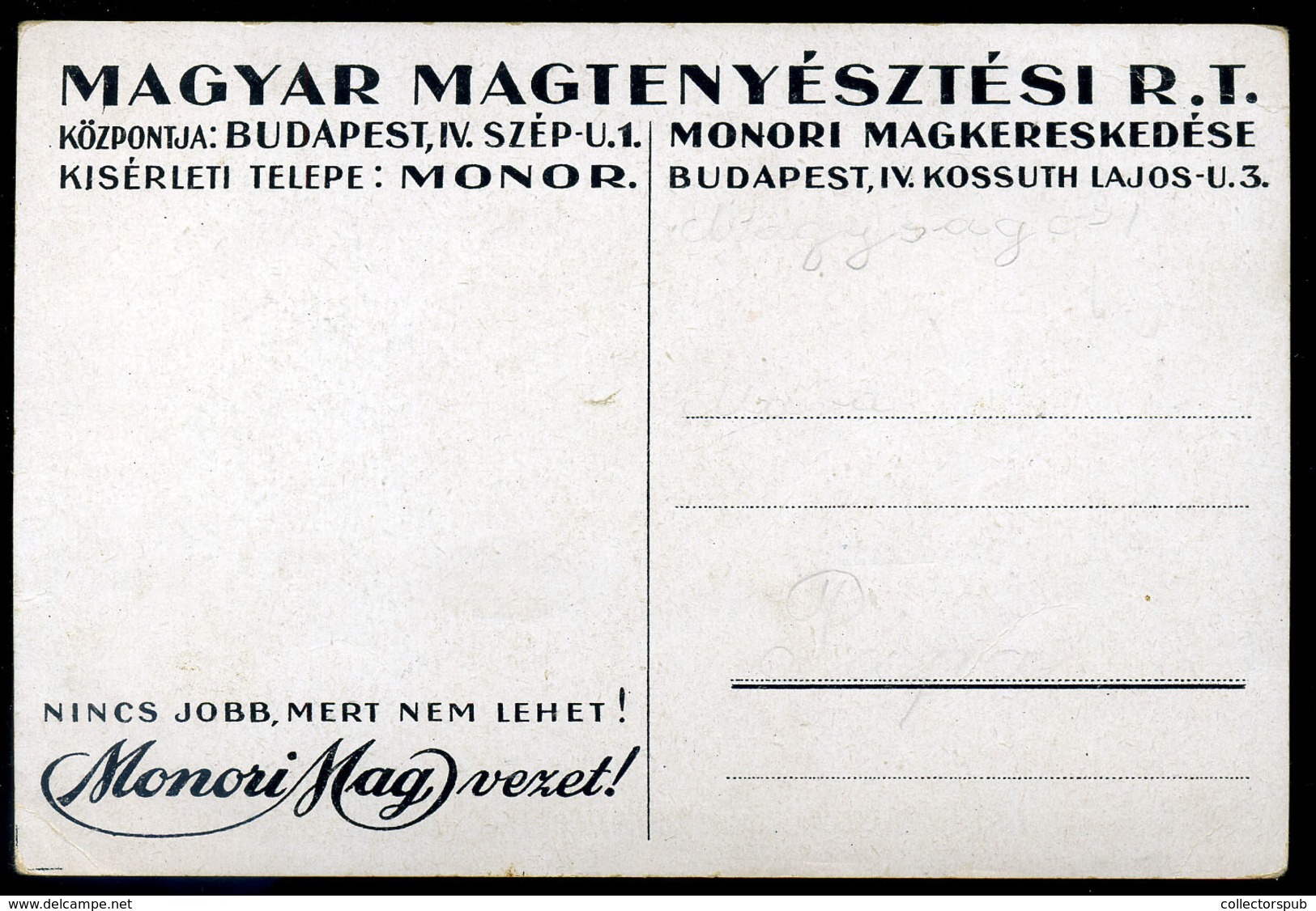 BUDAPEST Monori Magkereskedés Reklám Képeslap - Ungarn