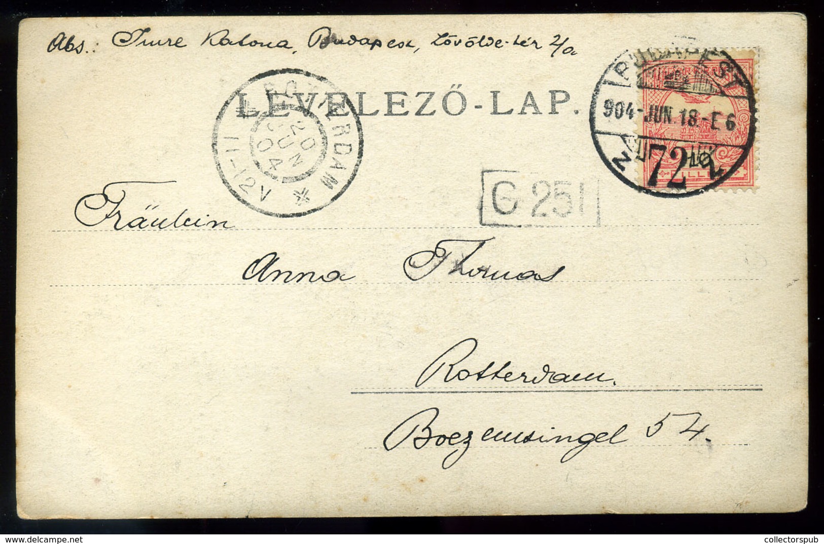 1904. Jókai , Fotós Képeslap Hollandiába Küldve - Used Stamps