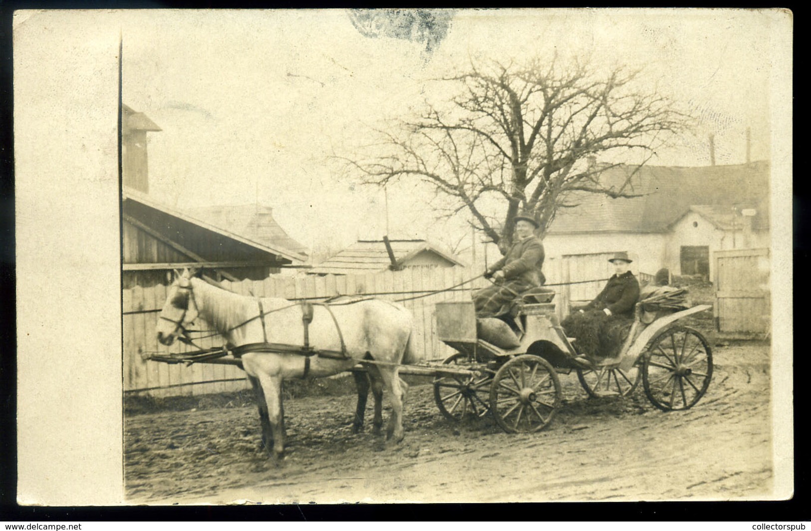 JOLSVA 1909. Fotós Képeslap, Lovasfogat - Hongarije