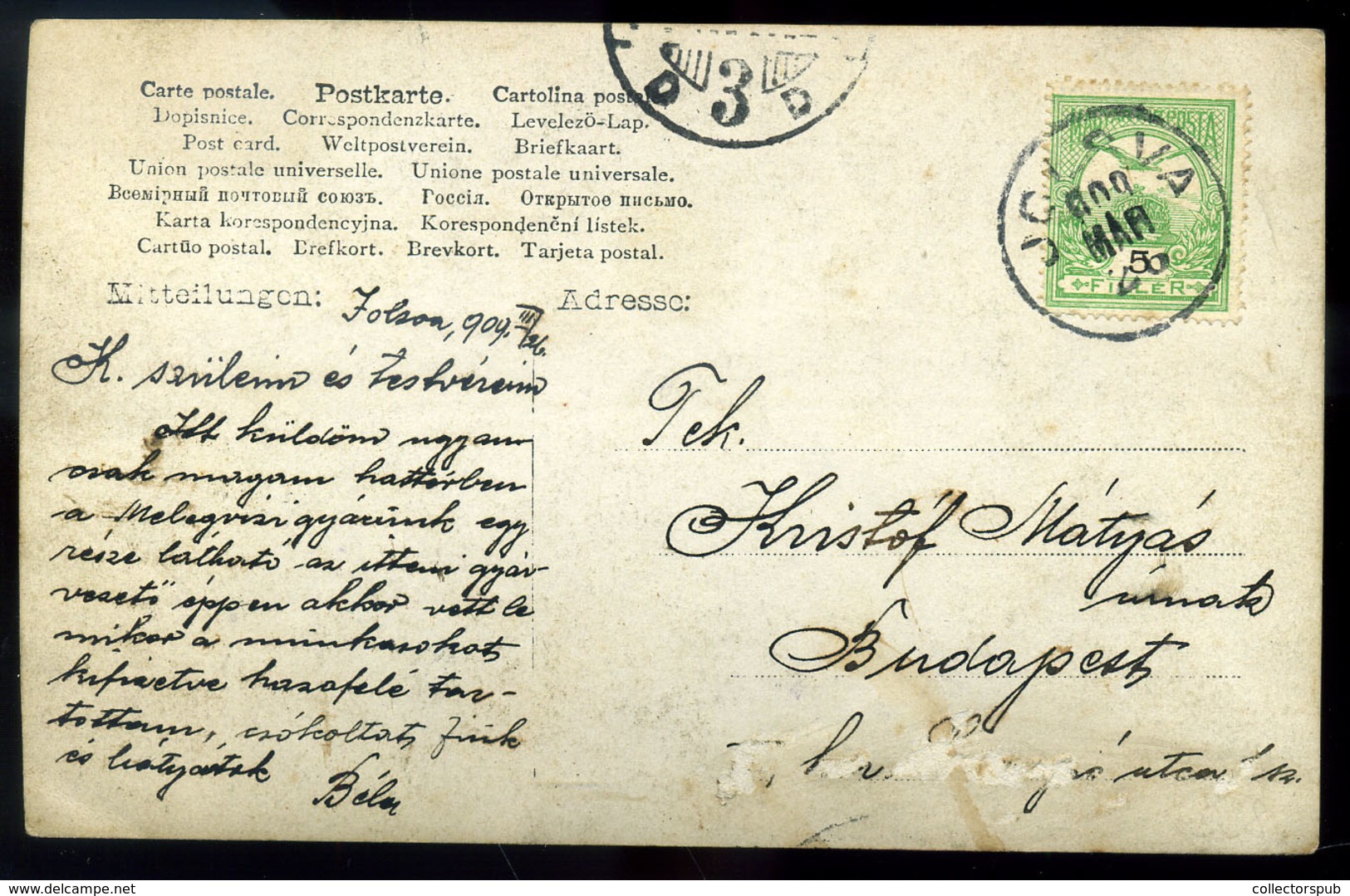 JOLSVA 1909. Fotós Képeslap, Lovasfogat - Ungarn