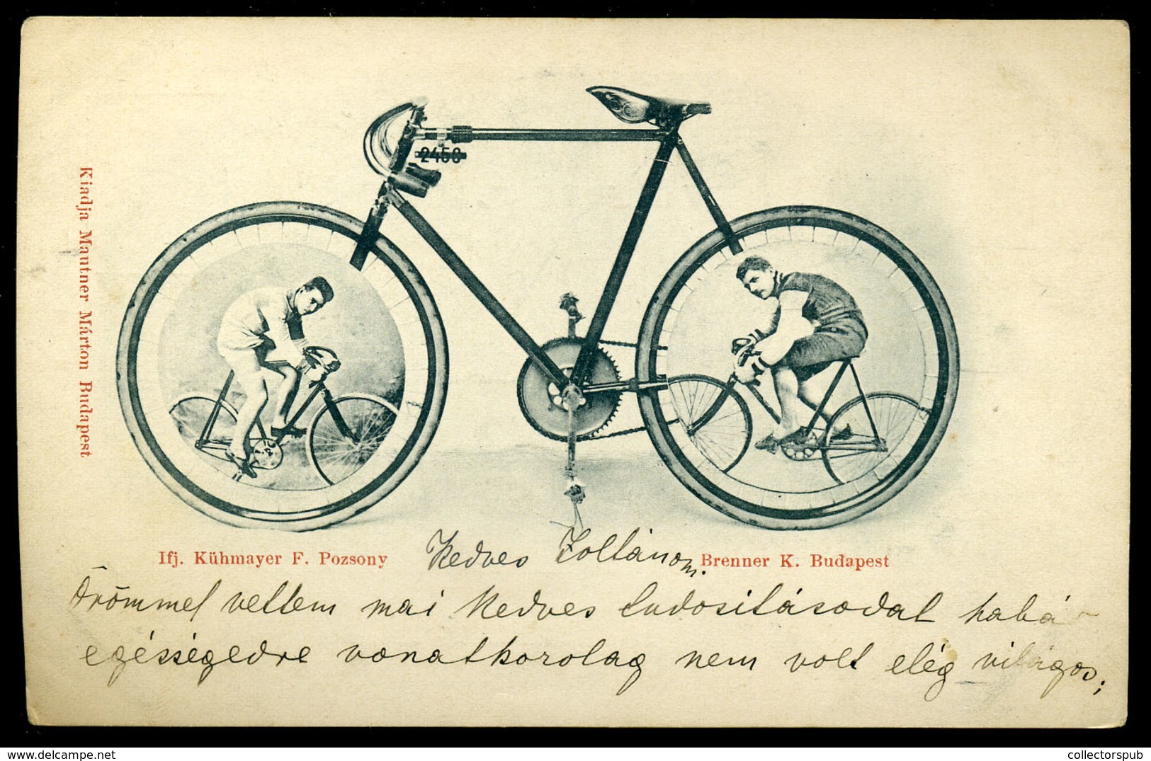 KERÉKPÁR Bajnokok 1900. Ritka Képeslap  /  BICYCLE Champions Rare Vintage Pic. P.card - Ungarn