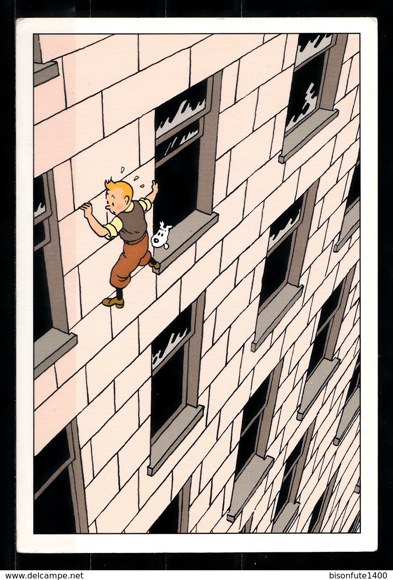 CP Tintin : Editions Hergé/Moulinsart N° 30161 ( Recto-Verso ) - Bandes Dessinées