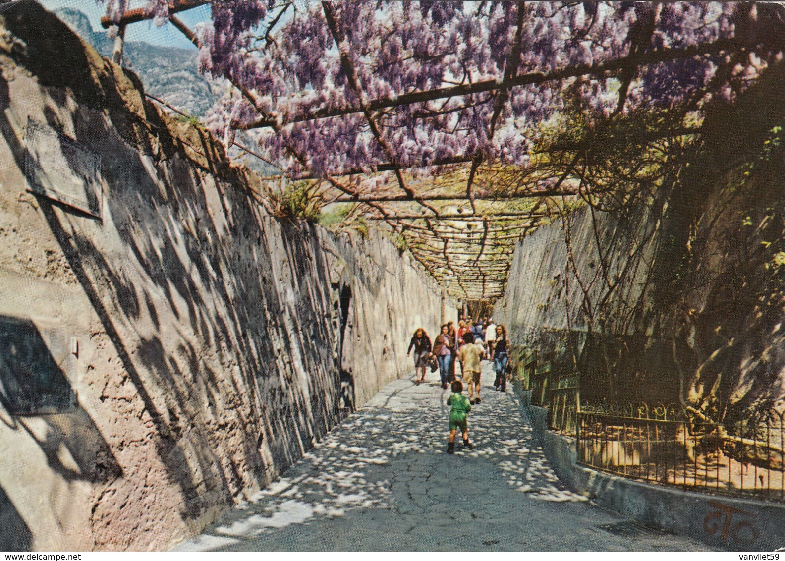 POSITANO-SALERNO-STRADA PER LA MARINA-CARTOLINA VIAGGIATA IL 28-7-1978 - Salerno